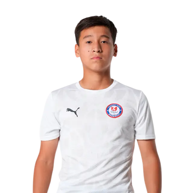 player image