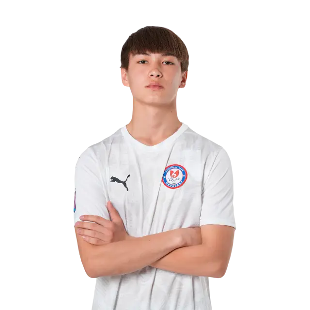 player image