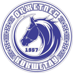  club logo Окжетпес 2008